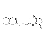 2,5-Dioxo-1-pyrrolidinyl 3-[2-(2,6-Dimethyl-1-piperidyl)acetamido]propanoate
