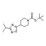 1-Boc-4-(3-isopropyl-1,2,4-oxadiazol-5-yl)piperidine